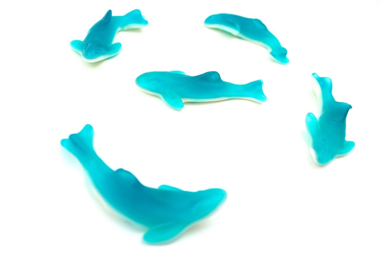 Caramelle squali gommosi blu e bianchi - CARAMELLE GOMMOSE